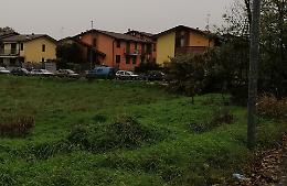 Due nuovi parchi, ospiteranno mille alberi