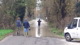 Piena del Po, l'allerta a Ponticello di Castelvetro Piacentino