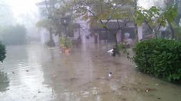 VIDEO Piena del Po, località Mento: il fiume scende dall'arginello