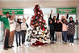 L'albero di Natale contro il bullismo