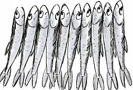 Sardine, il primo flash mob sarà il 20 dicembre