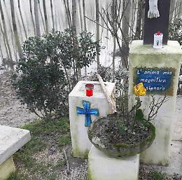Furto sacrilego, rubata la statua di Maria dalla chiesetta in golena