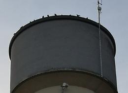 Tecnologia 5G, sì ai test sull'inquinamento