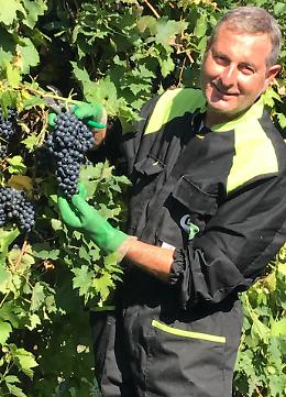 Il Lambrusco che sbaraglia gli emiliani