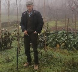 L'orto come una scuola, lezioni ai bambini