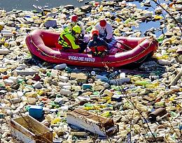 Allarme Dia, preoccupante crescita dei crimini ambientali