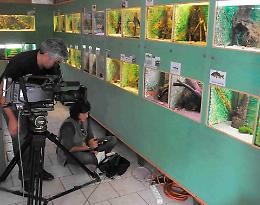 Acquario del Po, l'appello: 12-15 mila euro o si chiude