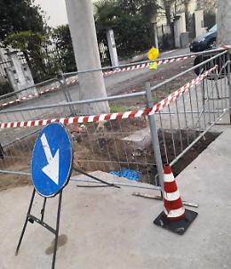 Zona Po: esplode il caso alberi
