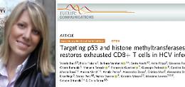 Epatite C, le nuove speranze