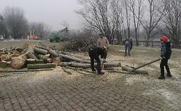 Volontari in azione, ripulita l’area della piarda