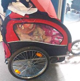 Bus, mamma furiosa: «Non posso salire con la carrozzina»