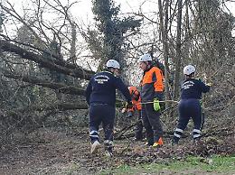Vento, alberi e rami caduti: la protezione civile mette in sicurezza le rive del Serio