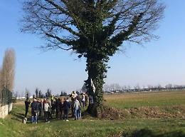 Nato il Comitato Quercia della concordia