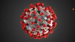 Coronavirus: identificate 200 mutazioni nel virus