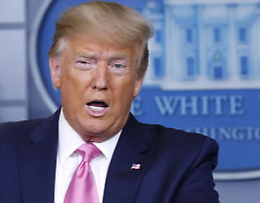 Usa: giudice dà via libera a promozione libro nipote Trump