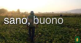 VIDEO Libera Associazione Agricoltori Cremonesi: «Scegli Italiano»