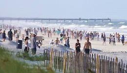 Coronavirus: Florida caccia dipendente, rifiuta truccare dati