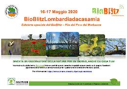 Quest'anno il Bioblitz Lombardia è «Da casa mia»
