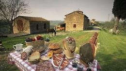Agriturismi, arriva il via libera all’attività di pernottamento
