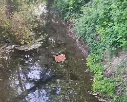 Festino alcolico, scempio al fontanile I Büss