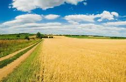 Pac, soddisfazione di Agrinsieme: "Sventata manovra che avrebbe danneggiato i nostri produttori"