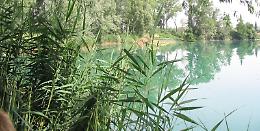 Parco del Serio, stop ai bagni nel laghetto dei Riflessi
