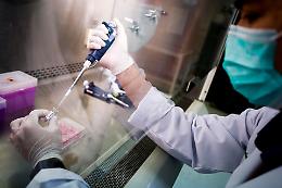 Coronavirus: 6.800 mutazioni, molte indotte dall'uomo