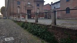 Cremona, una «foresta». Ma c’è chi la «disbosca» 
