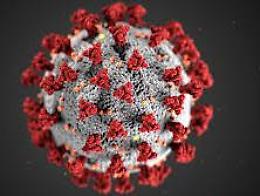 Coronavirus, Bassetti: 'Il virus ha perso la potenza di fuoco iniziale'