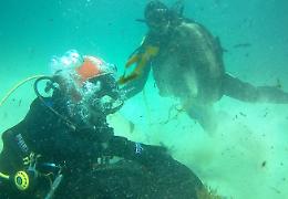 L'8 giugno centinaia di sub puliranno fondali da rifiuti
