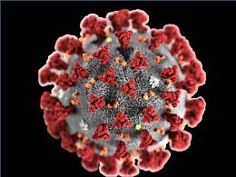 Coronavirus, America Latina oltre 75 mila morti