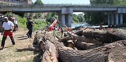 Oglio, ponte tra 2 paesi sicuro. Via tronchi e detriti dai piloni