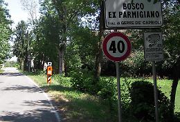 Velo ok abbattuto, individuati i vandali