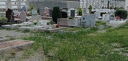 Erbacce e incuria tra le tombe, proteste al cimitero Maggiore
