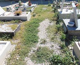 Erbacce nei cimiteri, il Comune corre ai ripari