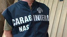 Letame, carcasse e rifiuti: condannata la titolare dell'allevamento degli orrori