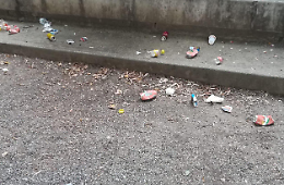 Vandali,  sfregio al passato