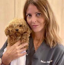 La denuncia: "Attenti al finto veterinario"