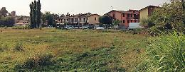 Nasce il Bosco del tempo: mille piante contro lo smog
