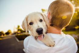 Giornata mondiale del cane: è un amico fedele per 1  famiglia su 4