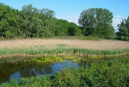 Il Parco Regionale Oglio Sud partecipa al festival "Benessere in Natura"