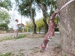 Presa a sassate e abbattuta la statua del Cristo del Po