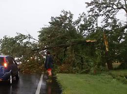 Maltempo, Monticelli: piante cadono sulla strada, sfiorate le auto in transito