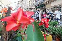 Invasioni Botaniche, successo strepitoso: e dal 2021 raddoppiano