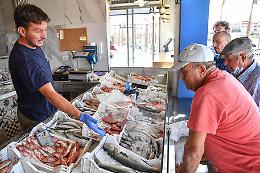 Ri-Pescato, 83mila pasti solidali con 12.000 kg pesce frodo