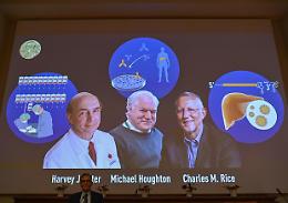 Il Nobel per la Medicina alla scoperta del virus dell'epatite C