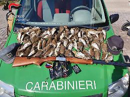 Caccia ai tordi con richiamo vietato: sequestri a Romanengo