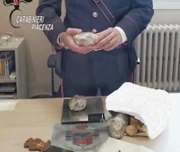 White cookies, cocaina e spaccio: i primi due patteggiamenti
