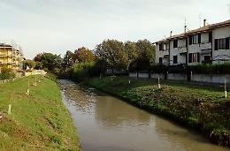 Serio Morto, nuovi alberi piantati sulle rive 

