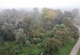Maxi «aula didattica» nel bosco dei Lagazzi